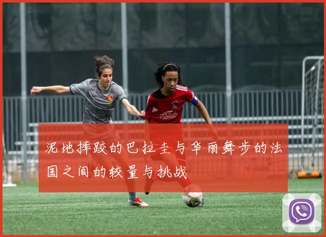 泥地摔跤的巴拉圭与华丽舞步的法国之间的较量与挑战